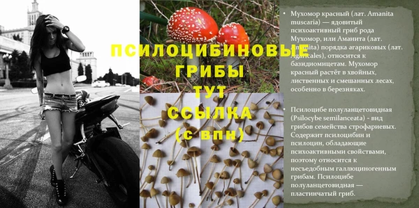 МДПВ Грязовец