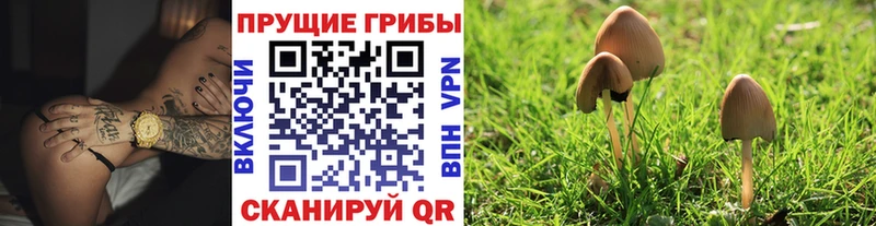 Галлюциногенные грибы мухоморы Красный Кут