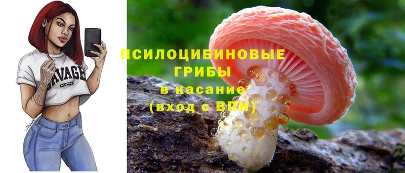 Псилоцибиновые грибы ЛСД  Красный Кут 